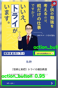 Detected image