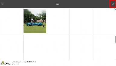 Detected image