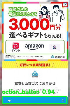 Detected image