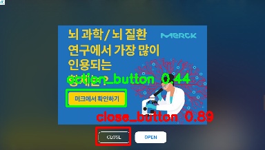 Detected image