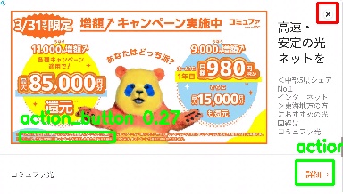 Detected image
