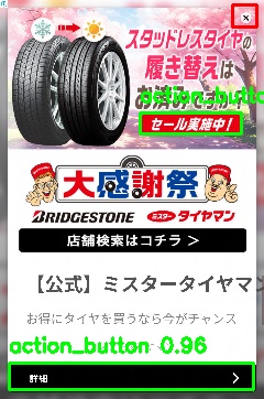 Detected image