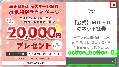 Detected image