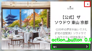 Detected image