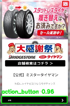 Detected image