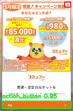 Detected image