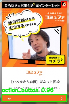 Detected image