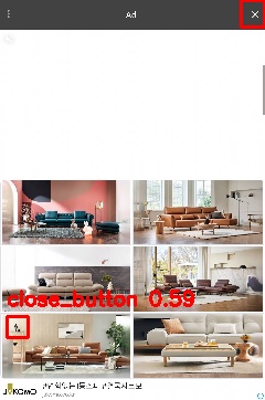 Detected image