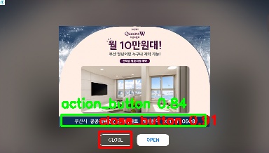 Detected image