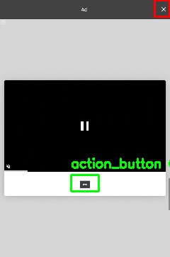 Detected image