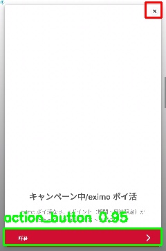 Detected image