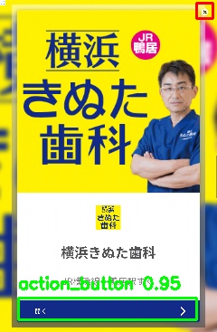 Detected image