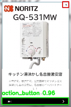 Detected image