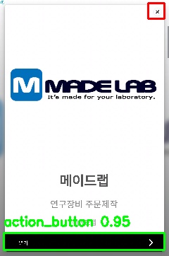Detected image