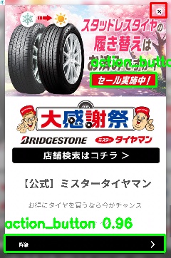Detected image