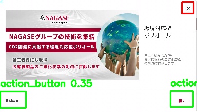 Detected image