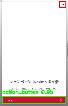 Detected image
