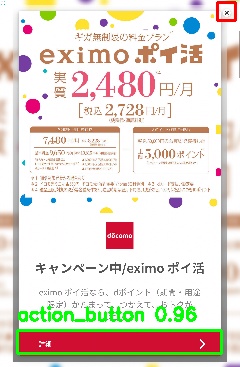 Detected image