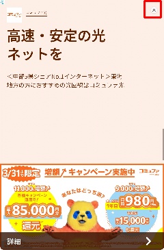 Detected image