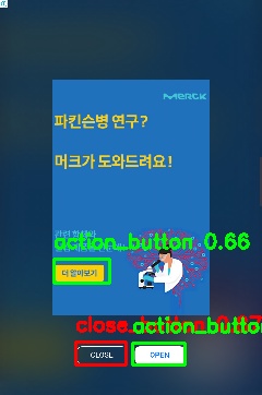 Detected image