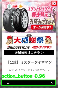 Detected image