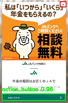 Detected image