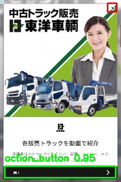 Detected image