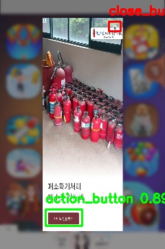 Detected image