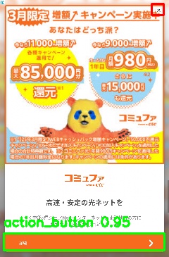 Detected image
