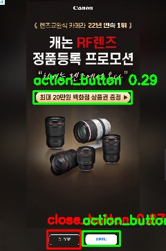 Detected image
