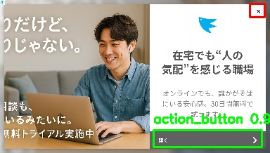 Detected image