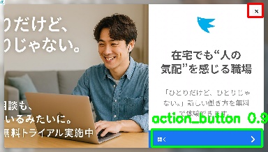 Detected image
