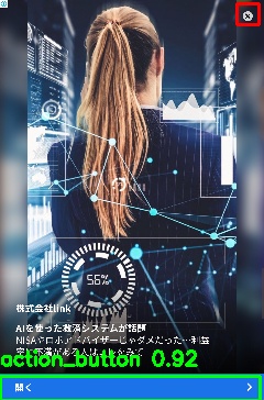 Detected image