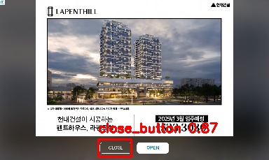 Detected image