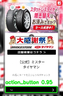 Detected image