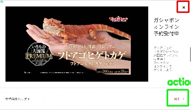 Detected image