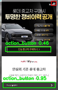 Detected image
