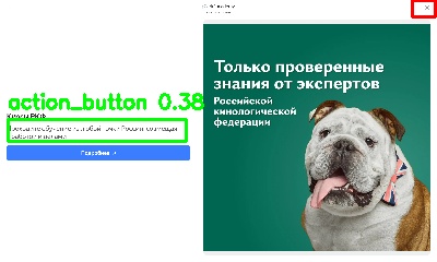 Detected image